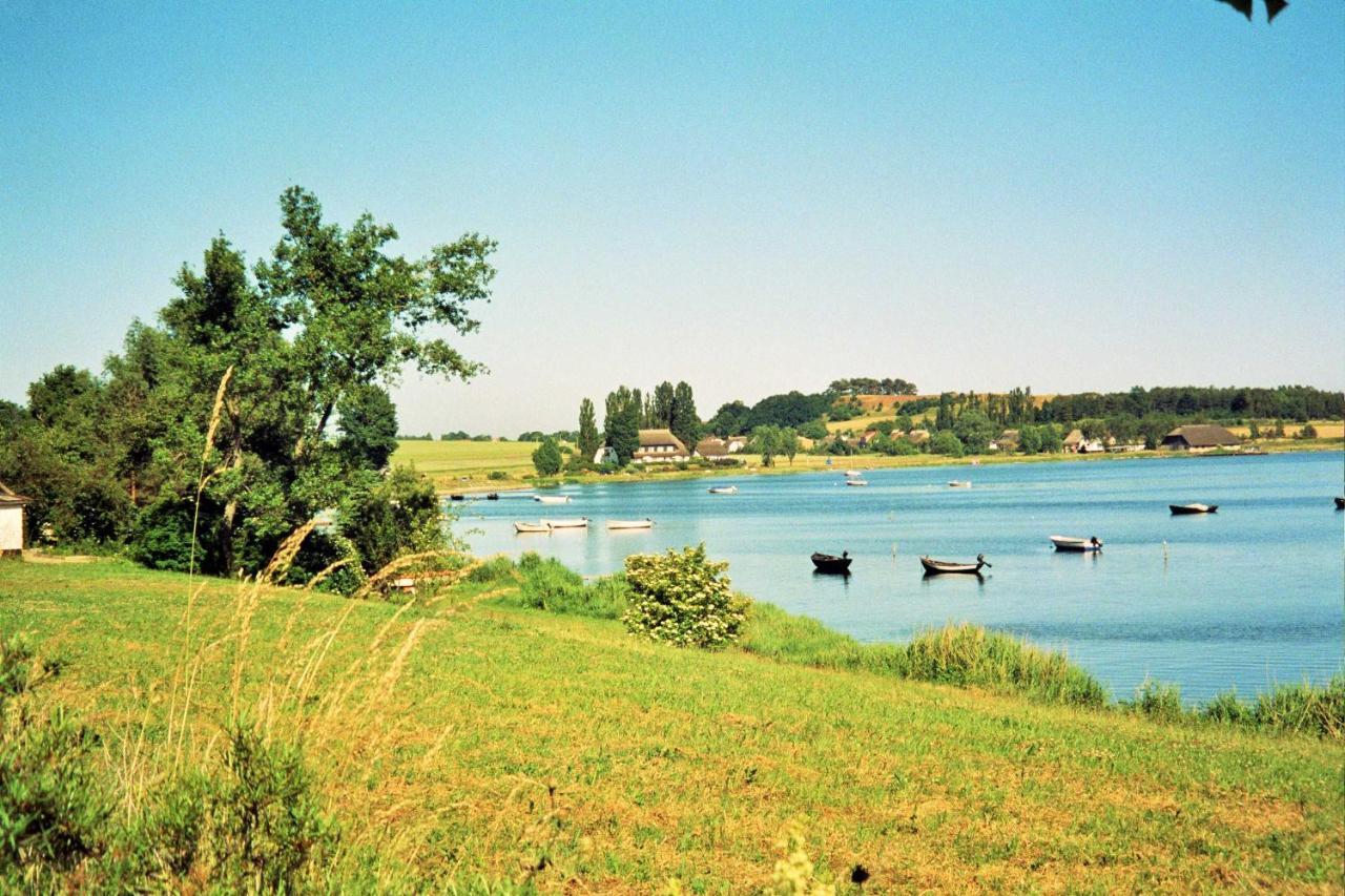 Ferienwohnung Jargow _ Alt_Reddevi Alt Reddevitz Bagian luar foto